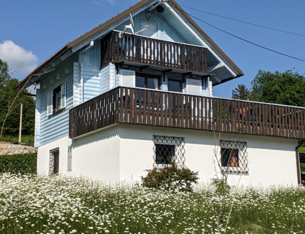 Chalet with south facing terrace