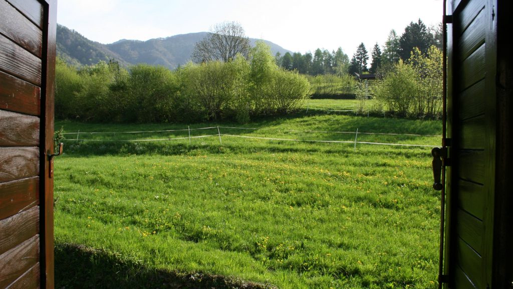 View from the bedroom window.