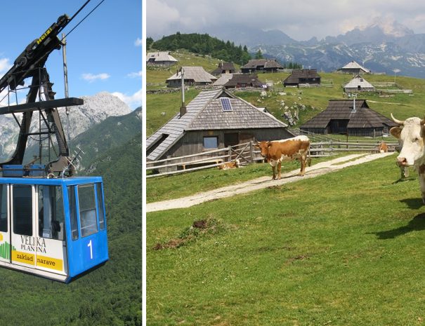 A short gondola ride to the mountain pastures of Velika Planina.