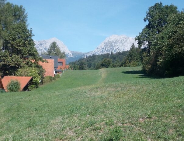Fields behind the chalet