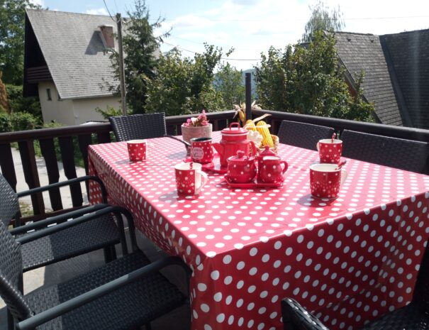 Terrace dining area